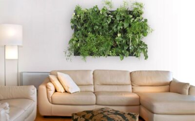 Green Inspiration: Innovative Home Plant Decor Ideas