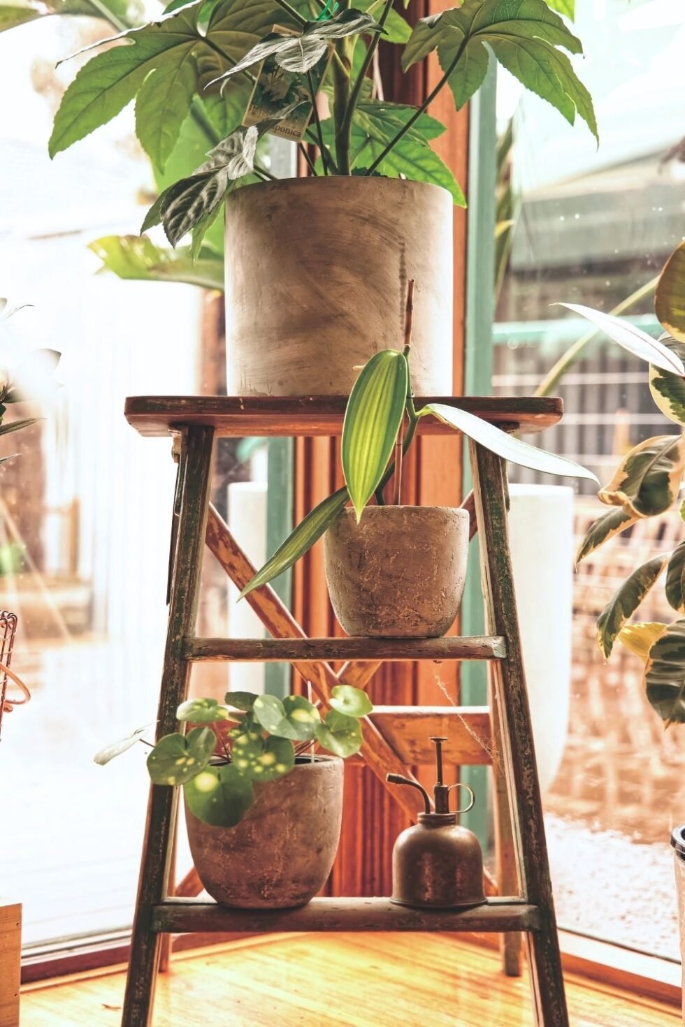 Image showcasing Green Inspiration: Innovative Home Plant Decor Ideas | Bloom and Boughs