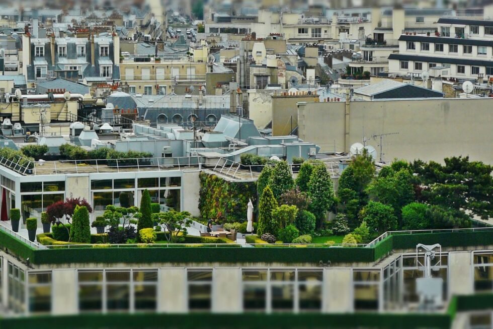 Creating a Sustainable and Green Balcony Space | Bloom and Boughs - Balcony Gardens And Green Space