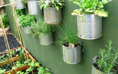 Repurposing Household Items as Planters: A Green DIY Adventure