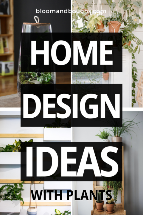 Picture of Green Inspiration: Innovative Home Plant Decor Ideas | Bloom and Boughs