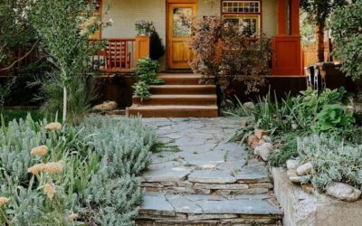 Green Glam: Eco-Friendly Front Yard Landscaping on a Budget