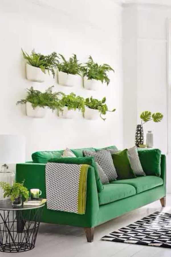 potted-plants-in-home-decor