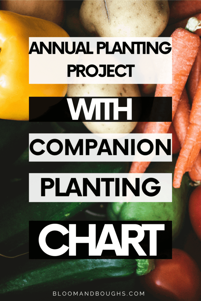 companion-planting