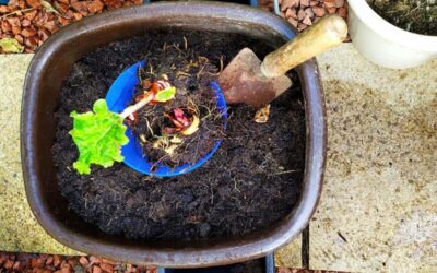 Composting for beginners – How to start composting?