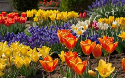 Expert Tips for Autumn Bulb Planting – How to Plant Spring-Blooming Bulbs