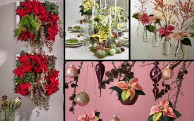 Holiday Glamour: 27 Christmas Table Decorating Ideas with Poinsettia for a Beautiful Christmas