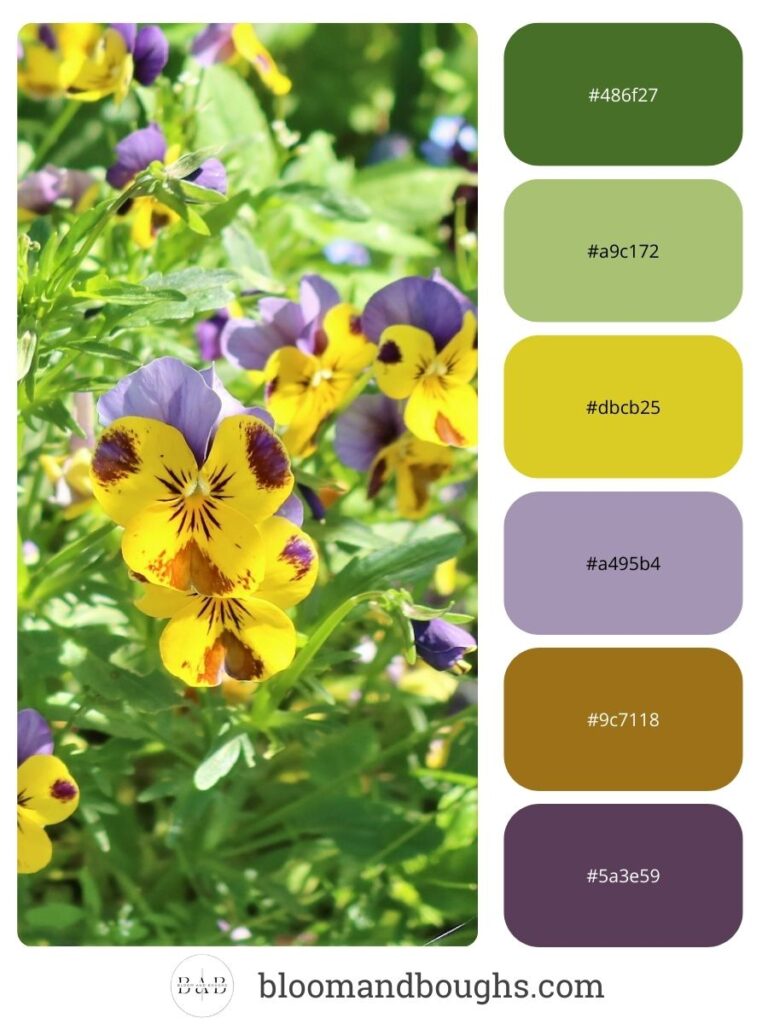 spring_color_palette_18