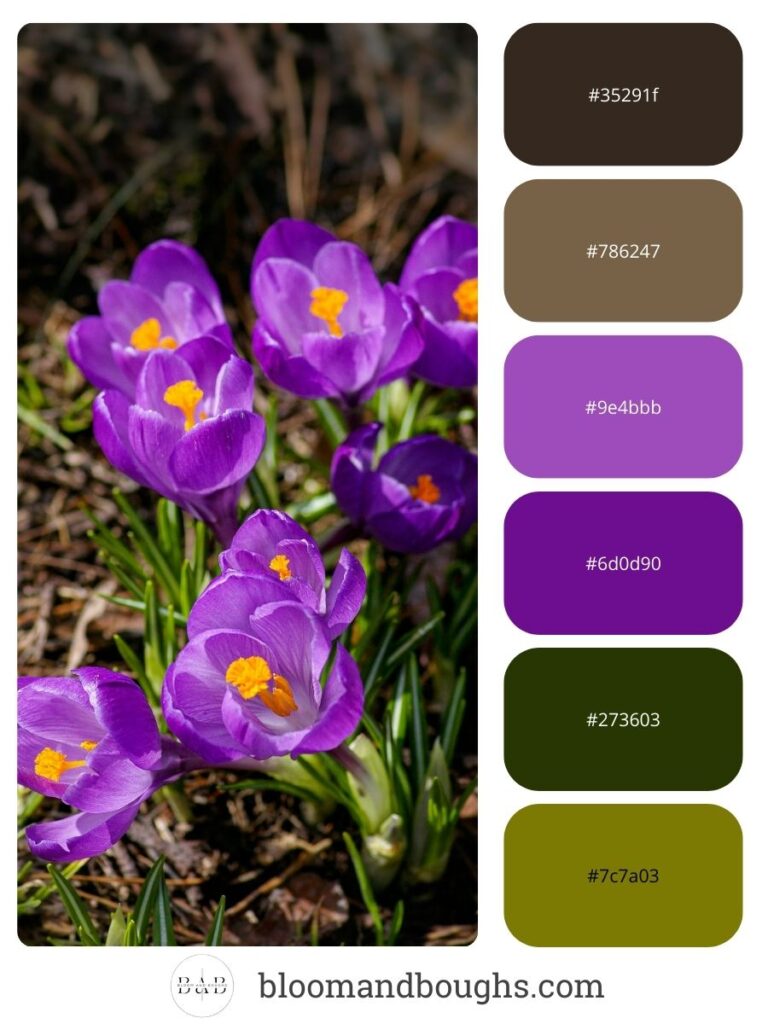 spring_color_palette_4