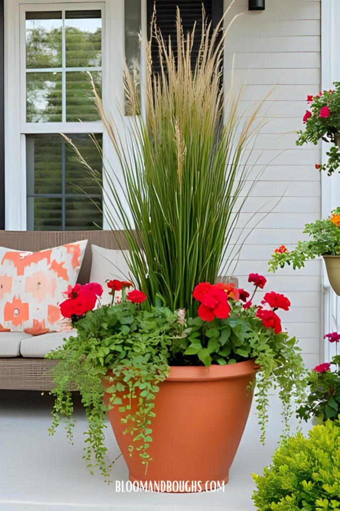full_sun_container_ideas